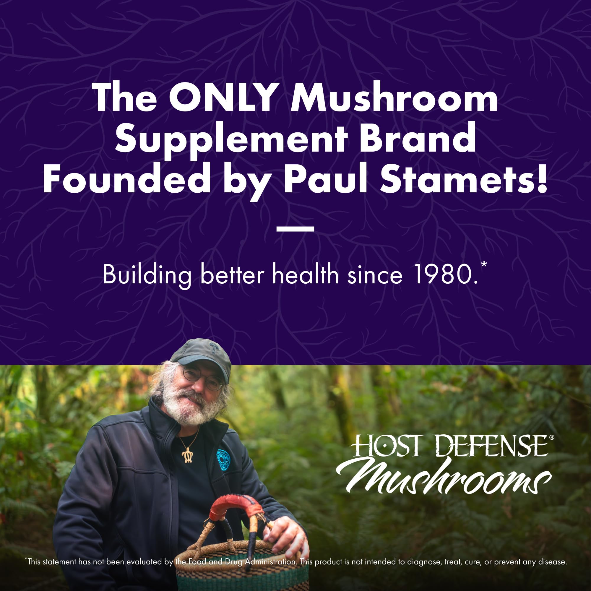 Host Defense MycoBotanicals Brain Support, 60 Capsules | Brain Support, Lion's Mane, Reishi and Cordyceps Mushroom, Herbal Supplement for Mental Clarity, Memory, and Focus Support