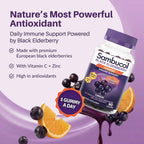 Sambucol Elderberry Gummies - Immune Support Supplement - 90 Count | Advanced Formula For Adults & Kids with Vitamin C & Zinc, Sambucol Elderberry are High in Antioxidants, Gluten Free, Vegan