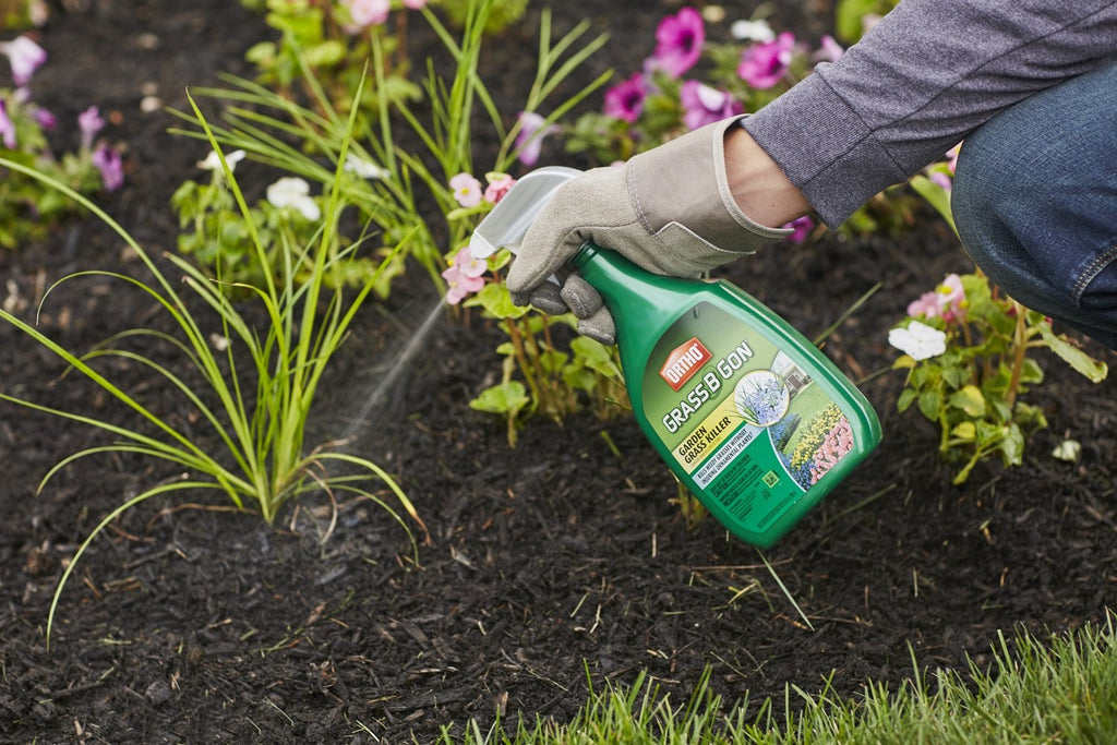 Ortho 0438580 Grass B Gon Garden Grass Killer Ready-To-Use, 24-Ounce