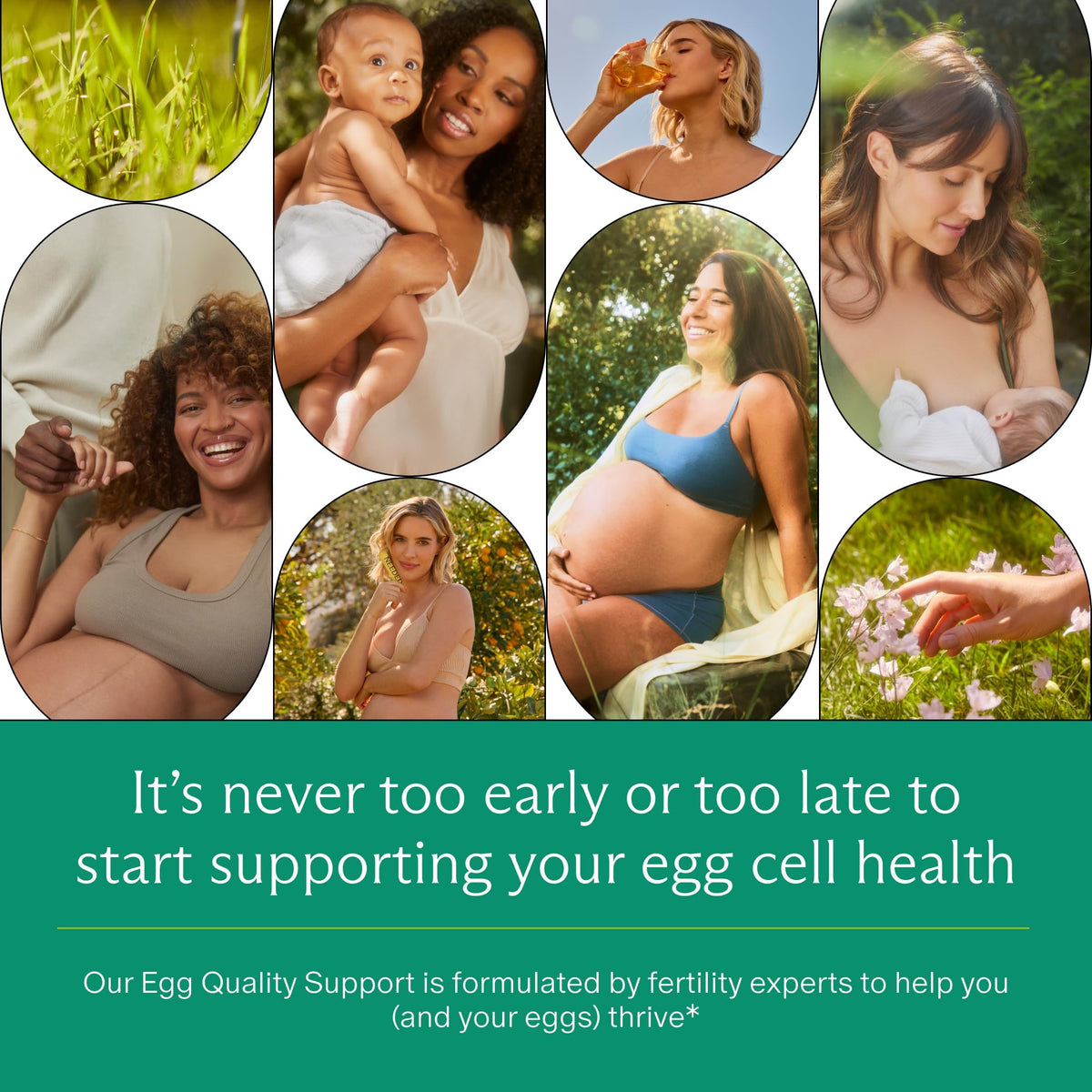 Needed. Egg Quality Support, 60 Capsules, 30 Day Supply