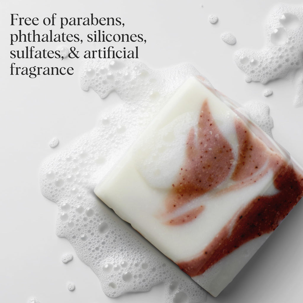Buy now Kitsch Shea Butter Exfoliating Body Wash Bar â€“ Moisturizing Bar Soap & Gentle Soap Bar with Plant-Based Exfoliants â€“ Hydrates, Softens & Soothes Skin â€“ Paraben, Silicone & Sulfate-Free - 4 oz at indiglob india