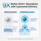 NAD Supplement for Men – Liposomal NAD+ NMN Alternative Nitric Oxide Prostate Health Supplements with Resveratrol, CoQ10, L Citrulline and Lycopene for Anti-Aging & Cellular Energy Support 60 Capsules