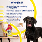 Resolve® 5-in-1 Urine Destroyer Carpet Cleaner Spray, Pet Stains, 22oz