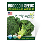 Purely Organic Broccoli Seeds (Waltham 29) - Approx 750 Seeds - USDA Organic, Non-GMO, Open Pollinated, Heirloom, USA Origin