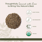Starwest Botanicals Organic Milk Thistle Seed Whole - Bulk 1 lb Bag
