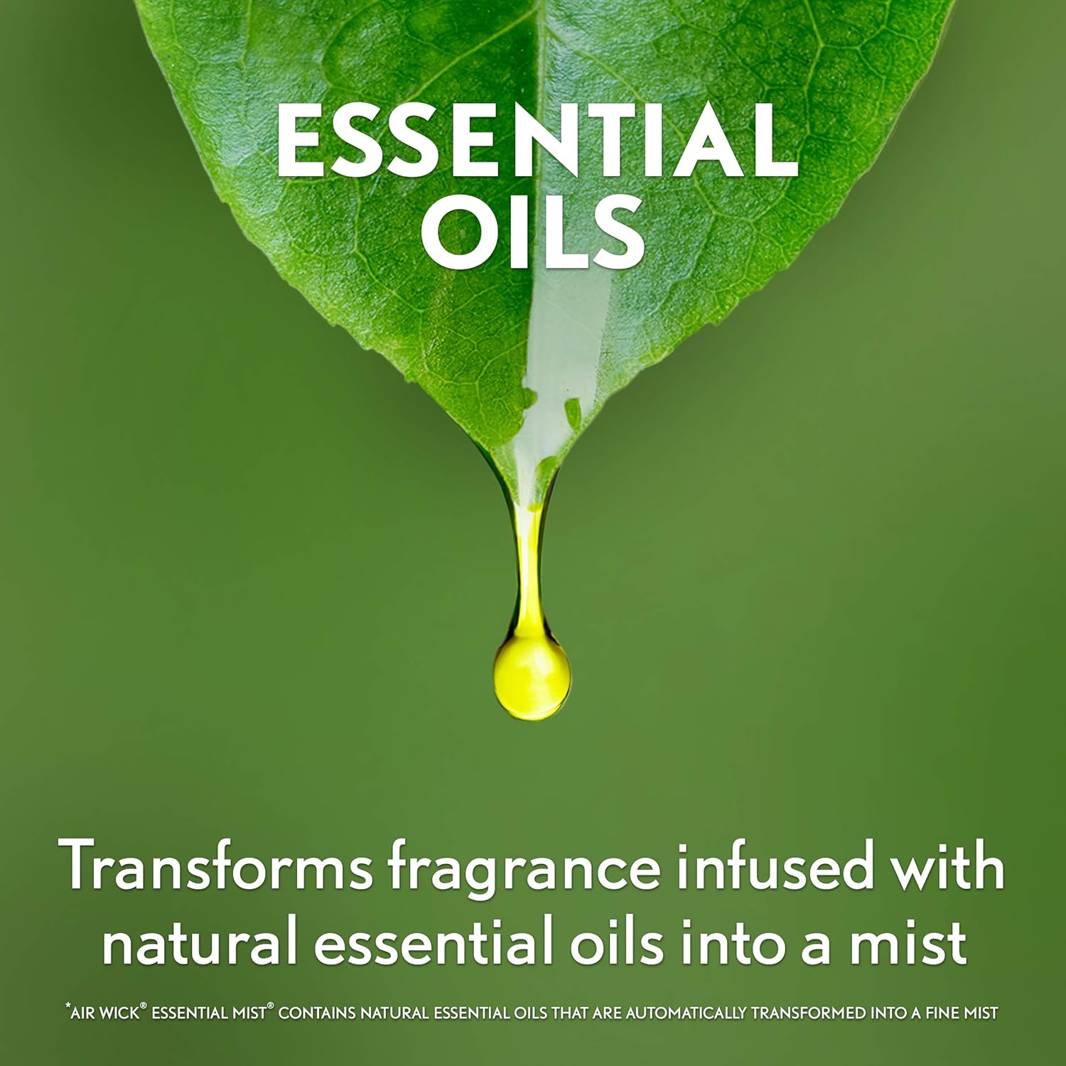 Buy now Air Wick Essential Mist, Essential Oil Diffuser Refill, Lemon Thyme, 1ct, Air Freshener at indiglob india