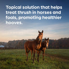 Kopertox Water-Resistant Thrush Treatment for Horses & Foals, 16 oz