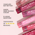 Buy now Burt's Bees Lip Tint Balm, Long Lasting 2 in 1 Duo Tinted Balm Formula, Color Infused with Hydrating Shea Butter for a Natural Looking Buildable Finish, Hibiscus, 1 Tube at indiglob india