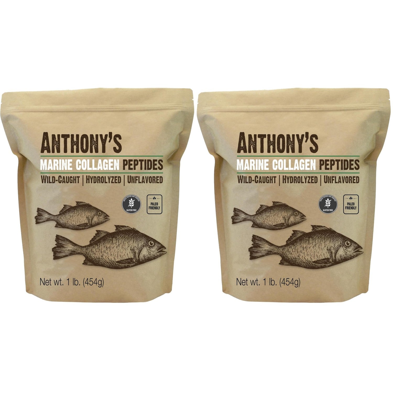 Anthony's Hydrolyzed Marine Collagen Peptides, Gluten-Free, Paleo and Keto Friendly, Unflavored, 1-Pound (Pack of 2)