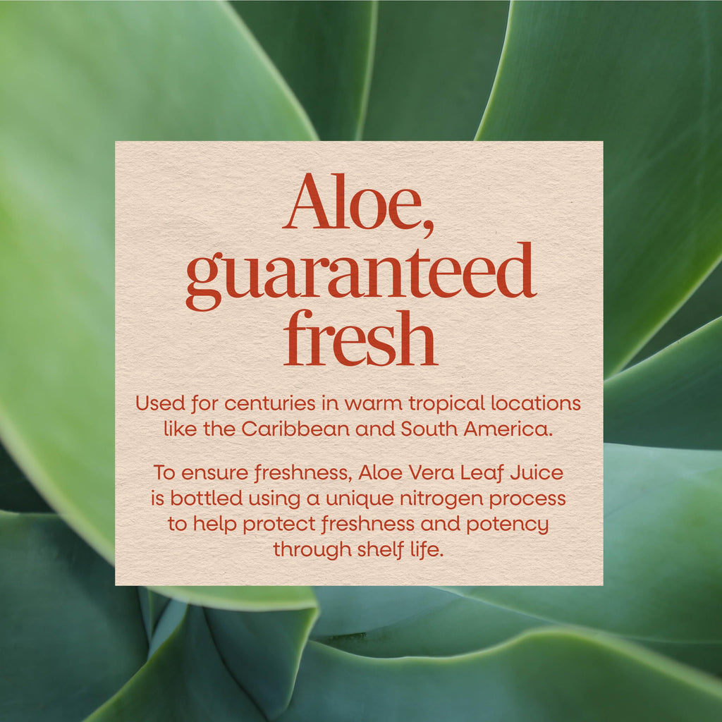 Nature’s Way Aloe Vera Leaf Juice, Flavorless Aloe Vera Juice, 33.8 Fl Oz
