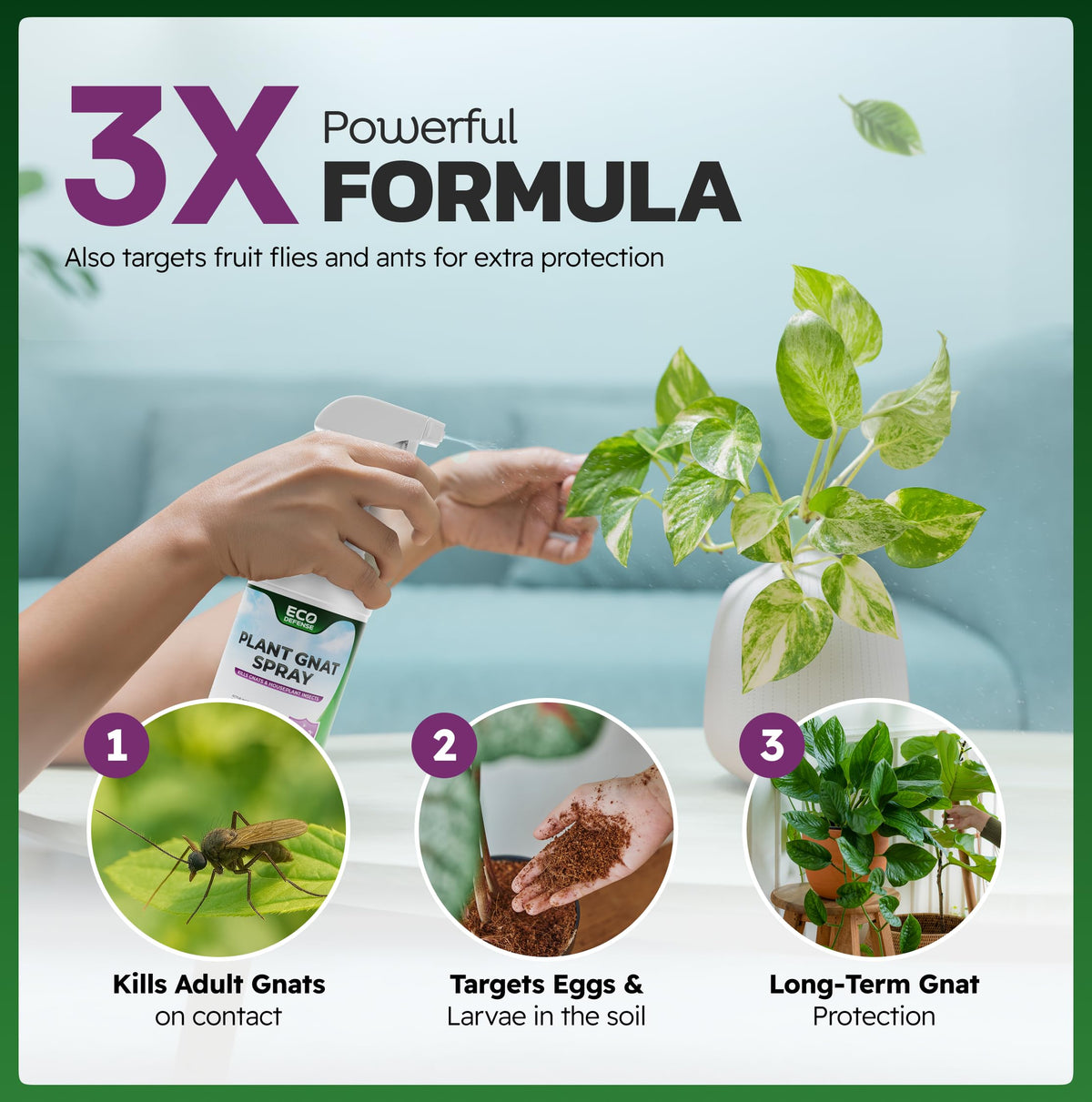 Eco Defense Plant Gnat Spray, Fungus Gnat Killer for Houseplant Soil
