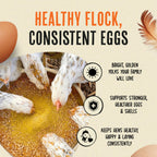 Roosty's Gold Dust Daily Egg Booster Chicken Supplement, 16oz