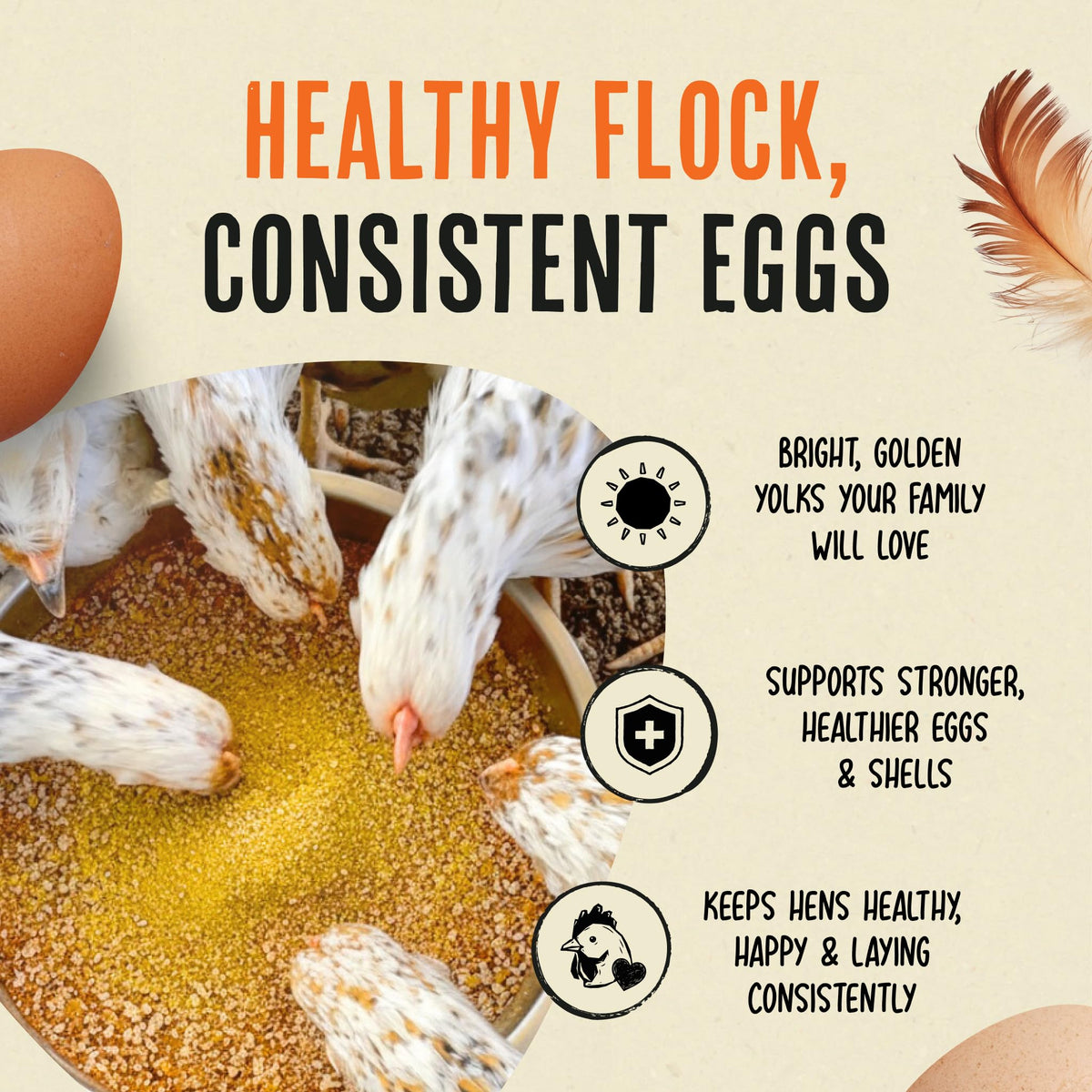 Roosty's Gold Dust Daily Egg Booster Chicken Supplement, 16oz