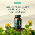 Gaia Herbs Rhodiola Rosea - Stress Support Supplement Traditionally for Supporting Healthy Stamina & Endurance* - with Siberian Rhodiola Root Extract - 60 Vegan Liquid Phyto-Caps (60 Servings)
