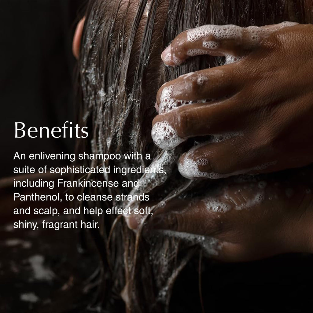 Aesop Shampoo Refill | Soften Hair and Restore Shine - For All Hair Types | Bergamot Rind, Frankincense, Cedar Atlas | 16.9 oz / 500mL