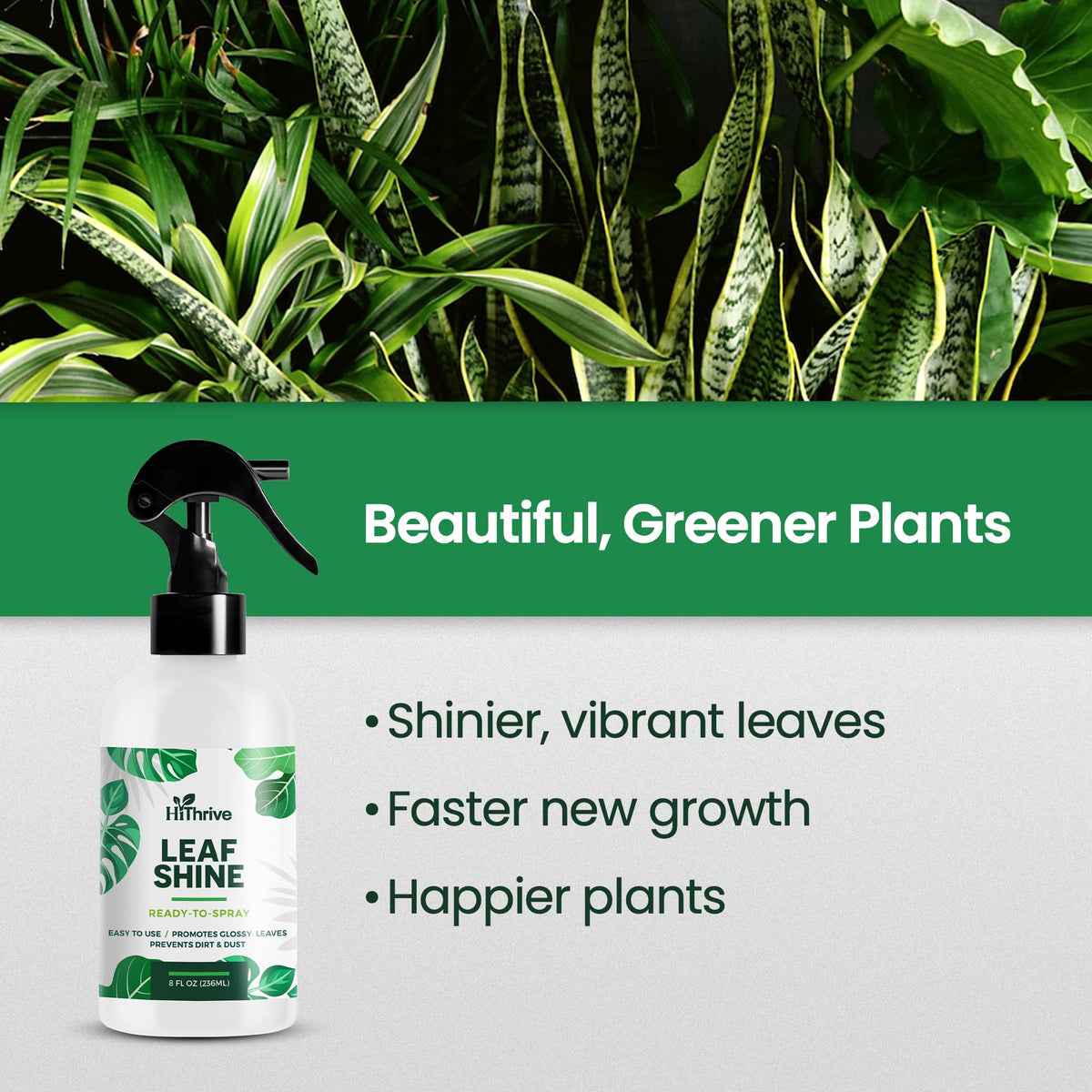 Leaf Shine Spray for Indoor Plants, Ready to Use Mist, 8oz
