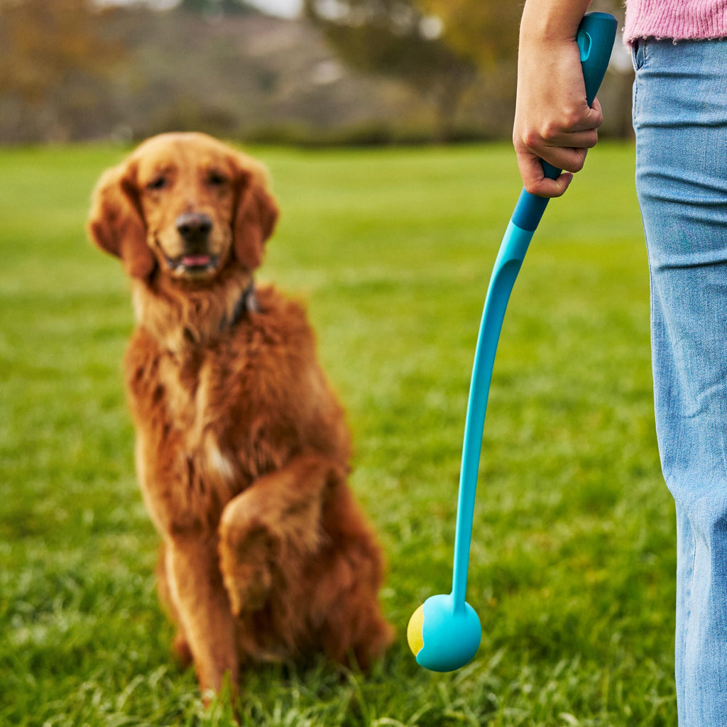 GoSports Pets 24 Inch Dog Ball Launcher - Ergonomic Tennis Ball Thrower for Dogs 20+ lbs - Includes Tosser and (2) 2.5 Inch Balls for Fetch