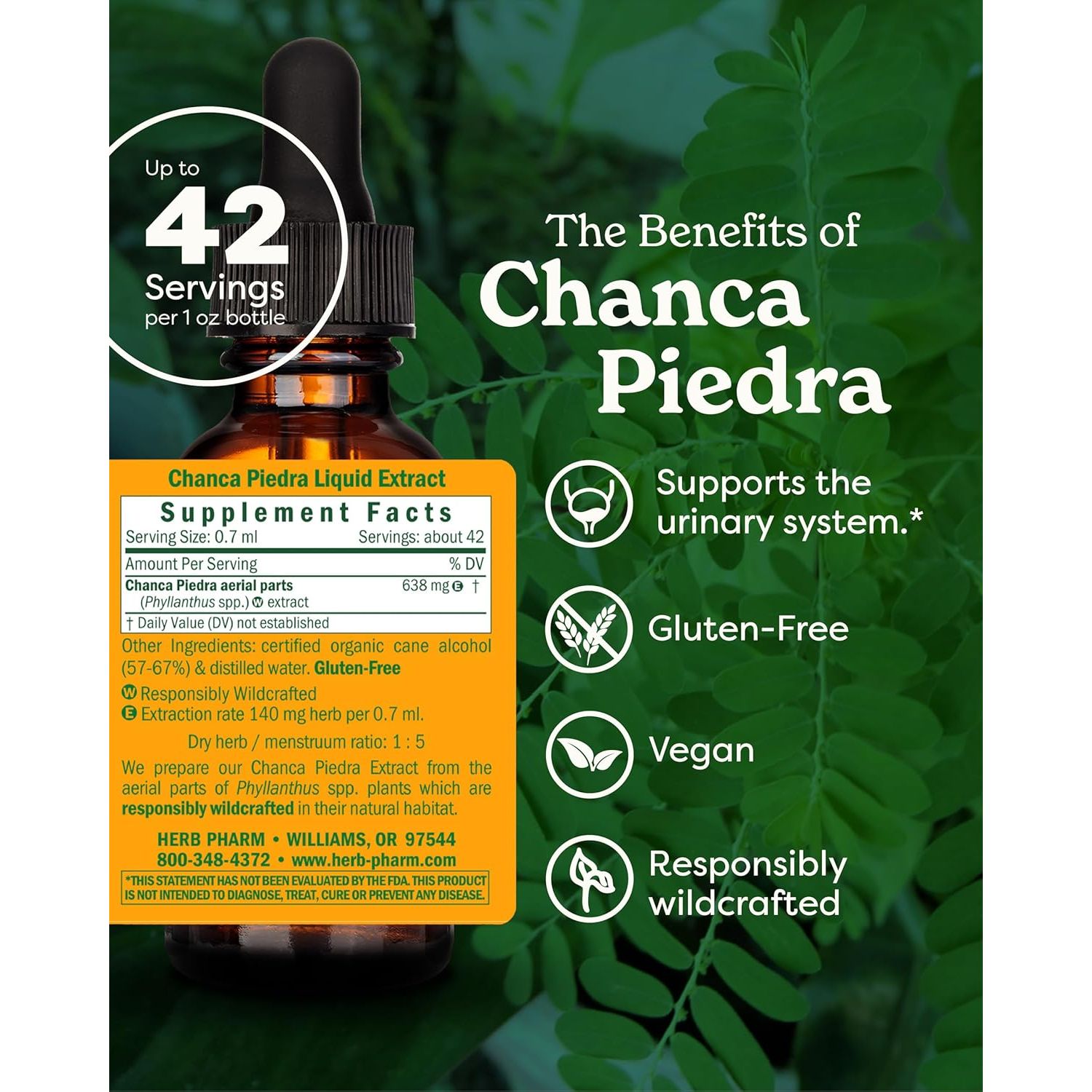 Buy now Herb Pharm Chanca Piedra Liquid Extract for Urinary System Support, 1 Fl Oz at indiglob india