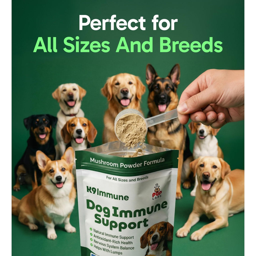 K9 Immune, All-Natural Mushroom Powder for Dogs for Immunity, Digestion, Joints, & Energy, Antioxidant-Rich & USA-Made, Dog Immune Support with Turkey Tail Mushroom for Dogs, 30 Servings