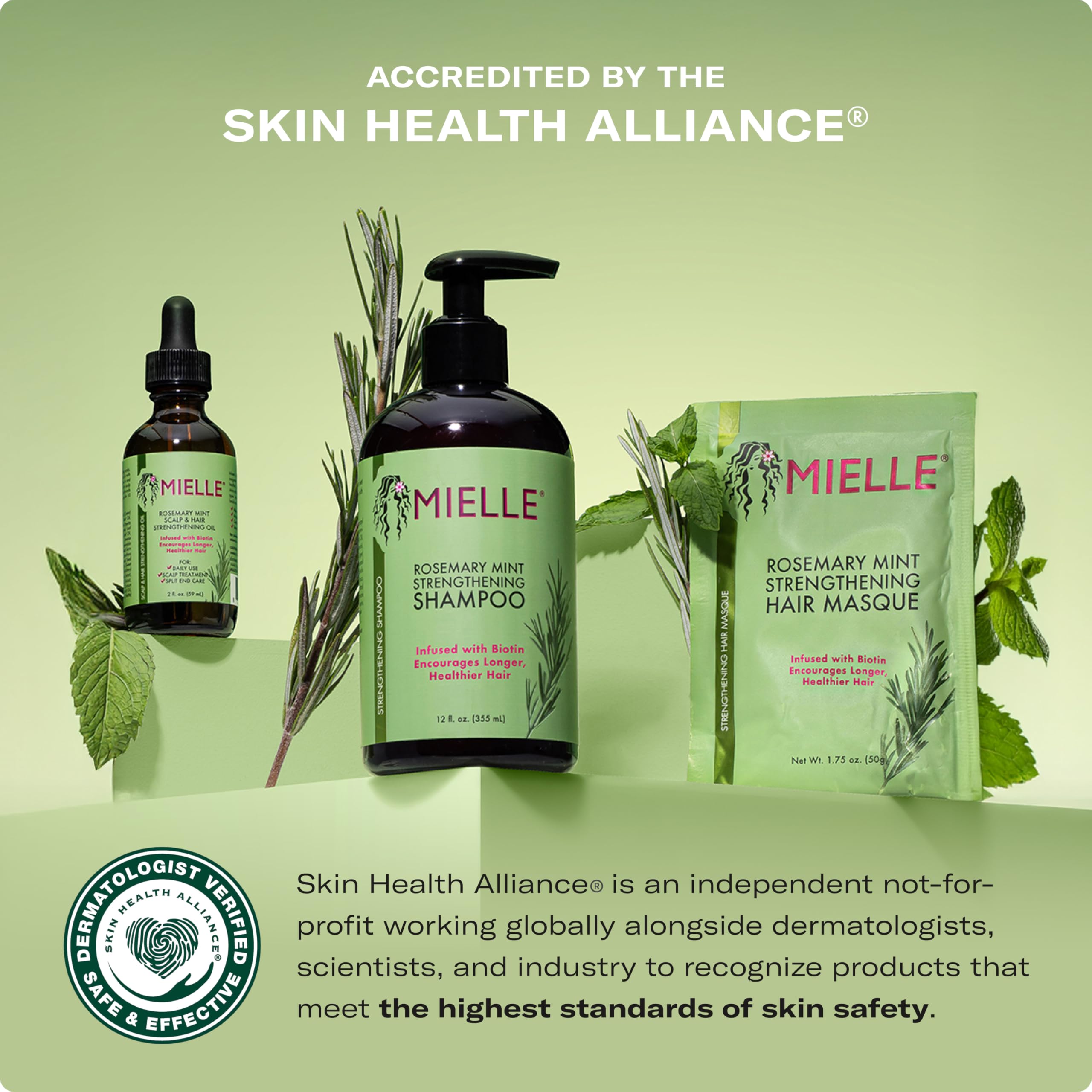 Buy now Mielle Organics Rosemary Mint Strengthening Hair Mask for Damaged Hair - Deep Conditioning Treatment Enriched with Biotin, Honey & Coconut Oil - Helps Encourage Longer, Healthier Strands (12 Oz) at indiglob india