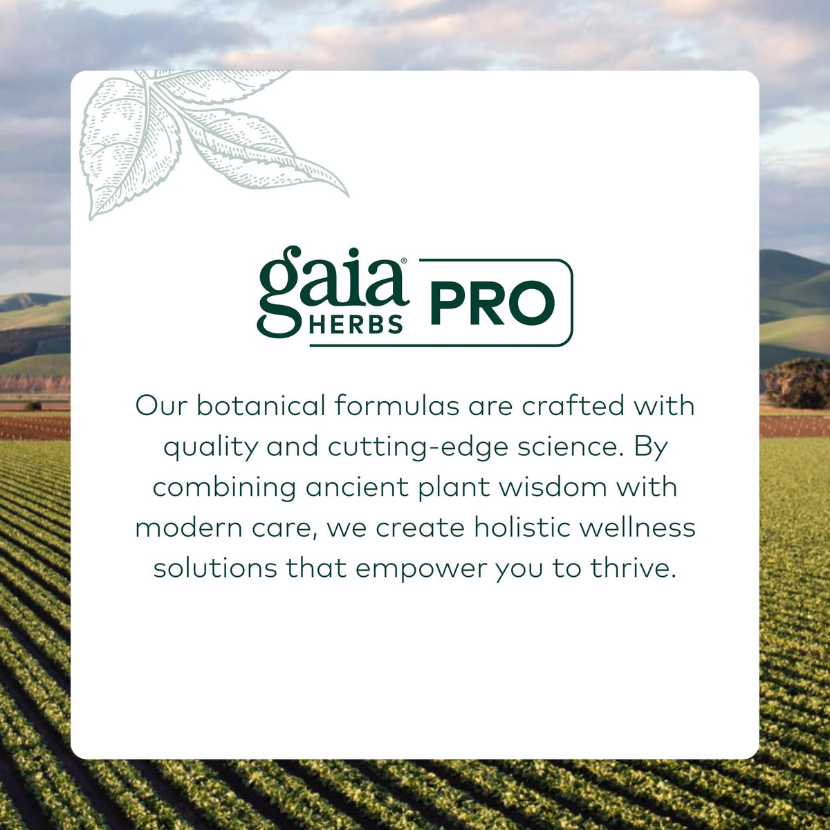 Gaia Herbs PRO Vitex, 60 Vegan Capsules, 30 Servings