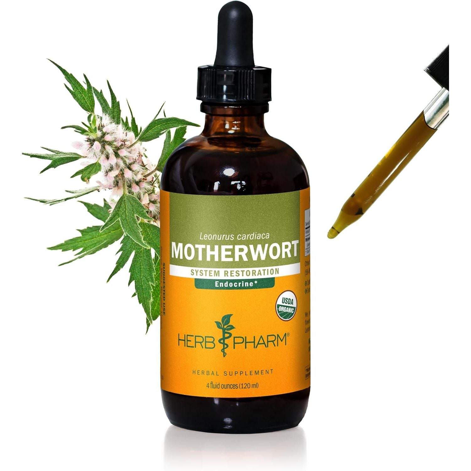 Buy now Herb Pharm Certified Organic Motherwort Liquid Extract for Endocrine System Support - 1 Ounce 4 Fl Oz (Pack of 1) at indiglob india