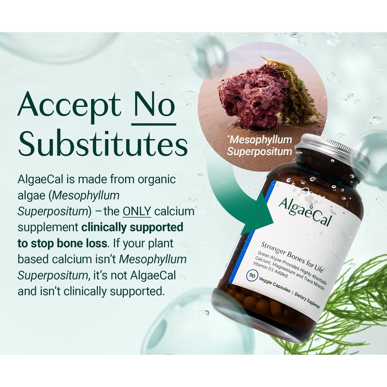 ALGAECAL Plant Based Calcium Supplement for Bone Strength, 90 Caps, 3 Packs | Organic red algae calcium 750mg with D3 1000 IU and 13 minerals for daily bone health support. Veggie capsules.