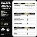 16x Strength Lions Mane Supplement Capsules Super Nootropic w. Ashwagandha & Rhodiola - Highest Potency 16:1 Lion's Mane Mushroom Extract 50% Polysaccharides Brain Supplements for Memory and Focus