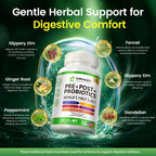 Ashenutri Probiotic Prebiotic Postbiotic for Women & Men, 30 Billion CFU 24 Strains w/Digestive Enzymes, Prebiotic Fiber & Slippery Elm – Complete Daily Immune & Gut Support, 120-Day Supply