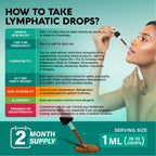 Lymphatic Drainage Drops - USDA Organic Lymphatic Supplements - 2 fl oz | Echinacea, Elderberry, Dandelion, Rosehip, Cleavers, Calendula, Burdock - Sugar & Alcohol-Free - Immune & Lymph Flow Support