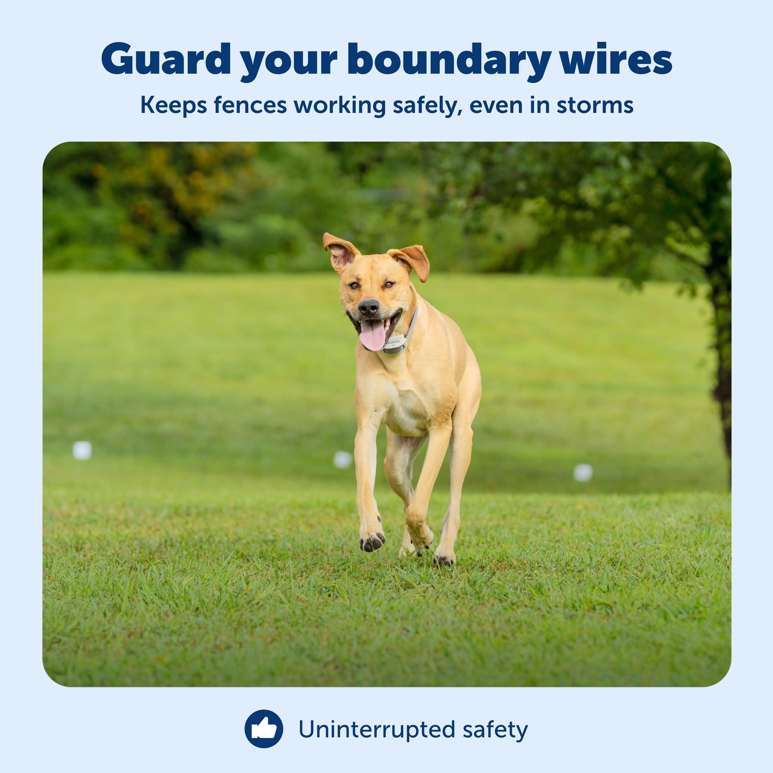 Buy now PetSafe Surge Protector for Pet Fences - Surge Protection Device - Electrical Protector - Durable Pet Fence Kit - Easy Installation - Fence Guard for Dogs - Outdoor Training Tool at indiglob india