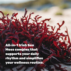 DEAL SUPPLEMENT 14-in-1 Irish Sea Moss Complex, 240 Veggie Capsules