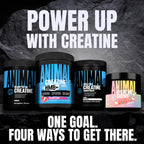 Animal Creatine Monohydrate Powder — Micronized for Muscle Recovery, Cellular Energy, and Daily Wellness — for Men and Women — Unflavored 300g