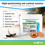 Advion Ant Bait Arena 12ct