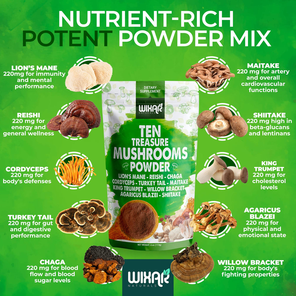 Wixar Mushroom Powder - Ten Treasure Mushrooms Extract Supplement 4oz