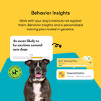 Embark Breed ID Dog DNA Test Kit – 400+ Breeds, 99% Breed Accuracy