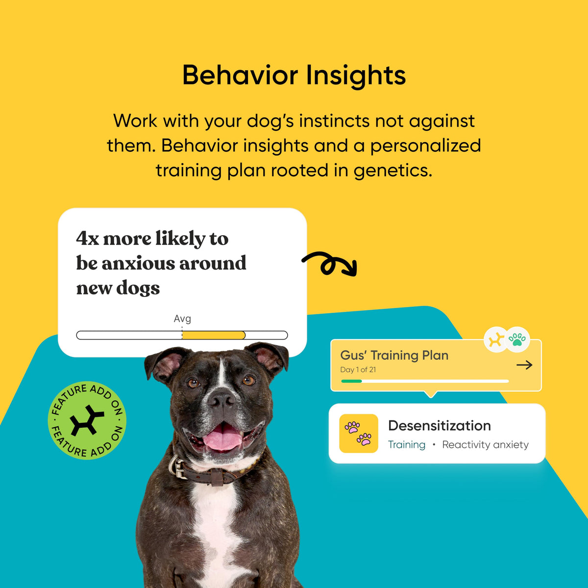 Embark Breed ID Dog DNA Test Kit – 400+ Breeds, 99% Breed Accuracy