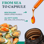 Haka Life GLX3 Green Lipped Mussel Oil Capsules for Joint and Muscle Support | Extra-Strength Omega-3 Green Lipped Mussel Supplement for Comfort, Flexibility & Recovery | Contains ETA, EPA, DHA