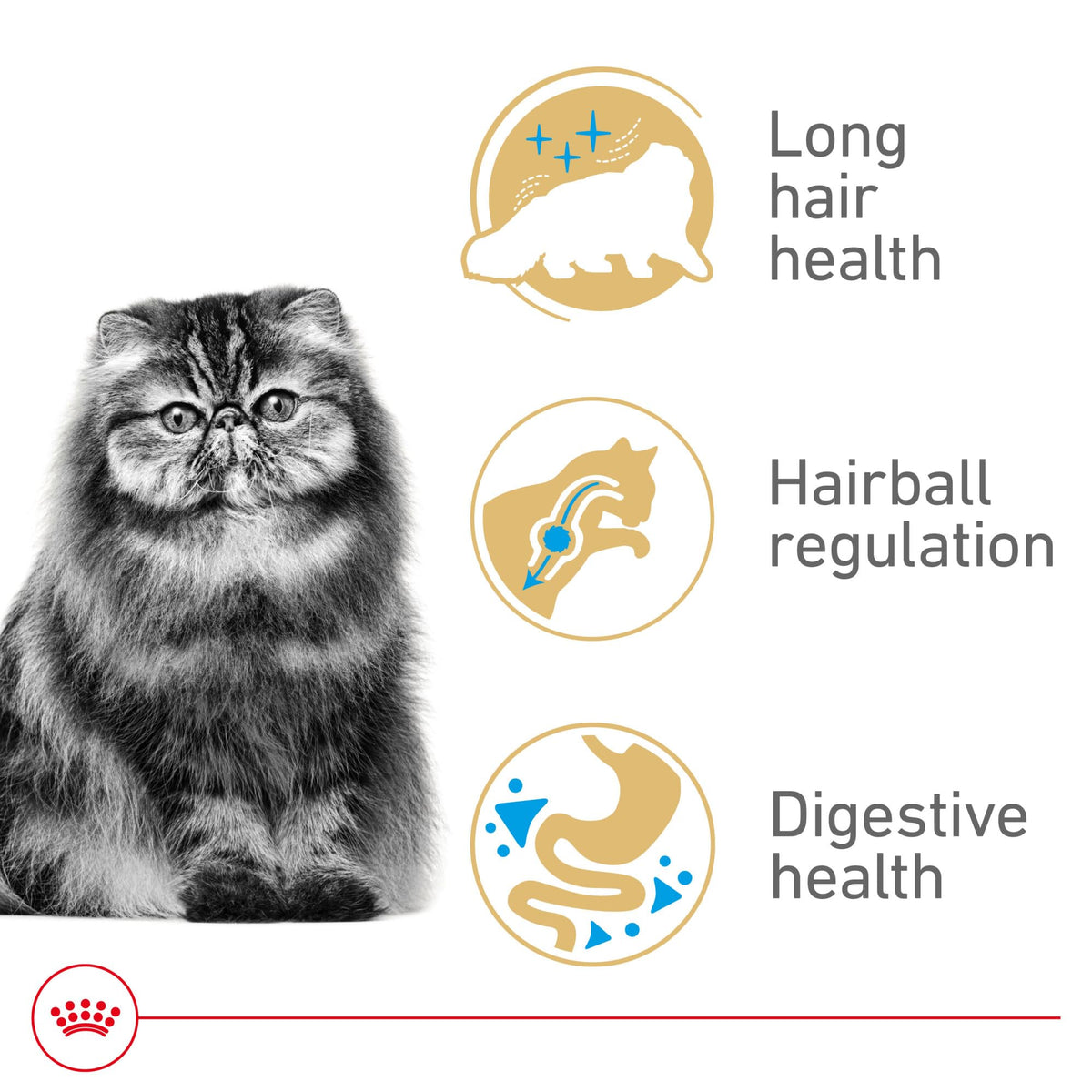 Royal Canin Feline Breed Nutrition Persian Adult Dry Cat Food, 7 lb Bag