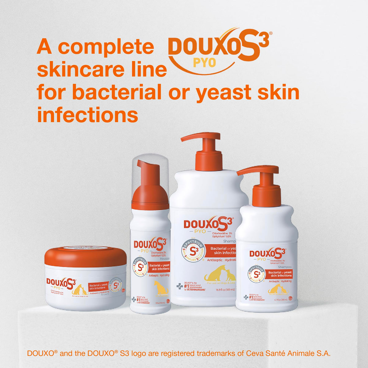 Douxo S3 PYO Medicated Dog Mousse - Bacterial & Yeast Infection Treatment