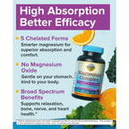 Terranics 5-in-1 Magnesium Complex Supplement 500mg, 120 Vegan Capsules | 5 Forms High Absorption Magnesium Glycinate Citrate Malate Aspartate Gluconate for Sleep Heart Health, Non-GMO