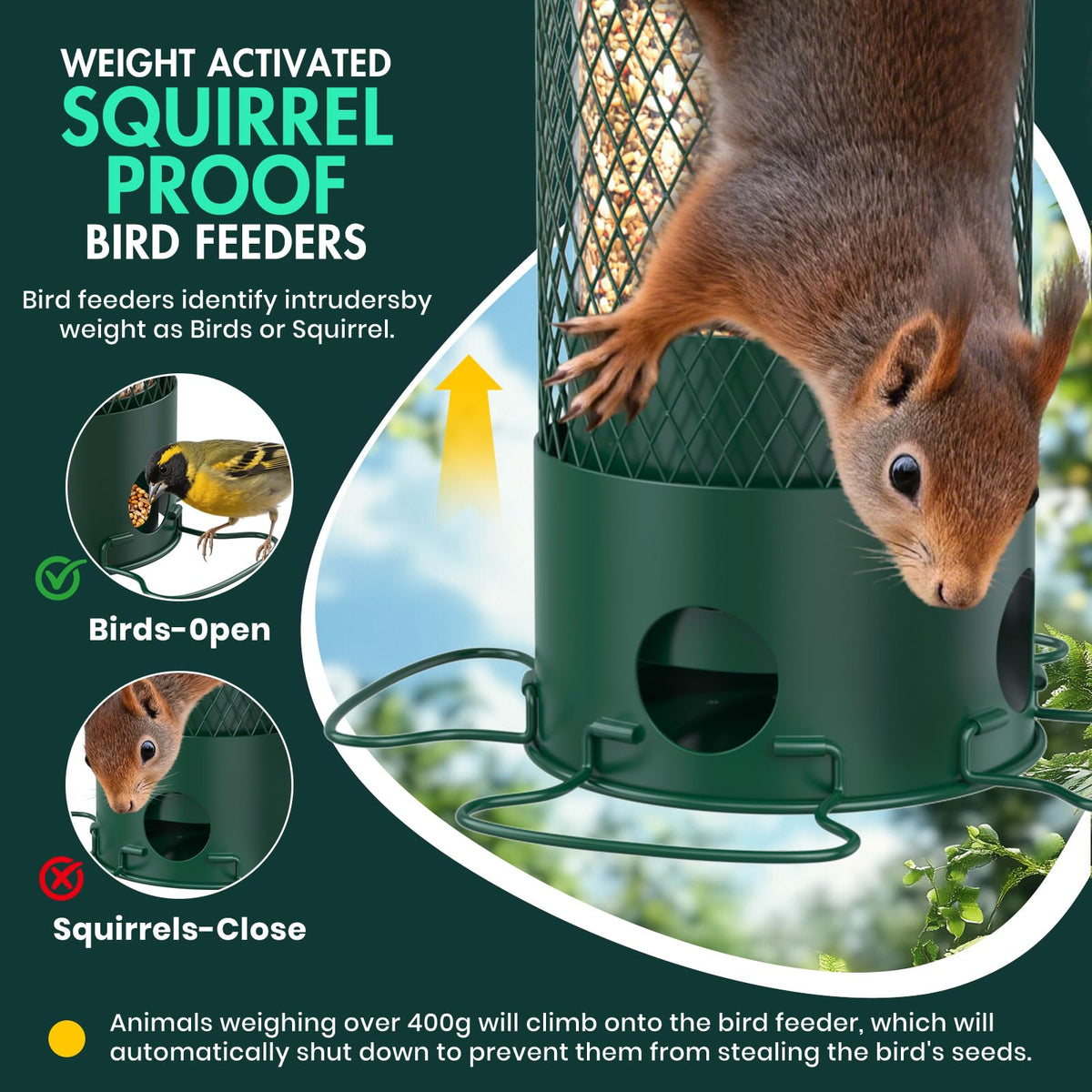 Metal Squirrel Proof Bird Feeders for Outdoors Hanging,Weight-Activated Large Capacity Feeder for Wild Finch, Cardinal,Blue Jay, Chickadee, Weatherproof and Durable 4 Perches,Green