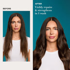 Buy now OGX Renewing + Argan Oil of Morocco Shampoo, Damage Repairing Shampoo & Argan Oil to Help Strengthen & Repair Dry, Damaged Hair, Paraben-Free, Sulfate-Free Surfactants, 13 fl. Oz at indiglob india