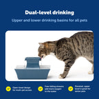 Buy now PetSafe Drinkwell Pagoda Fountain - Hygienic Ceramic Continuous Flowing Fountain - Elevated Upper Bowl & Double Free-Falling Stream Design - Minimalist Pet Hydration Station - 70 oz Capacity at indiglob india
