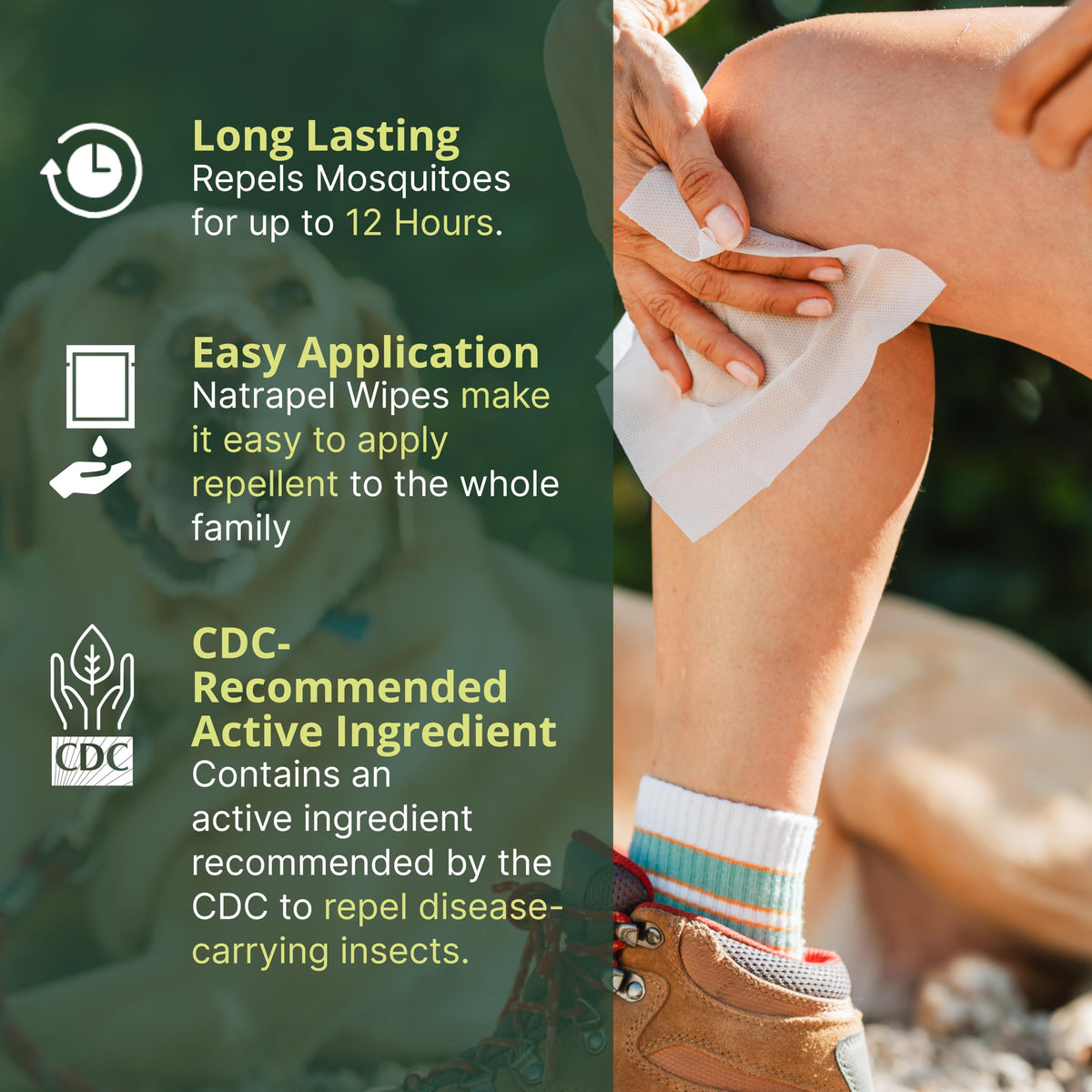Natrapel Tick & Insect Repellent Wipes, 12-Hour Protection, Picaridin, 3Pk