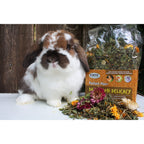 Exotic Nutrition Pasture Plus+ Dandelion Delicacy - Healthy Natural High-Fiber Dried Flower Treat - Guinea Pigs, Rabbits, Chinchillas, Prairie Dogs, Degus, Hamsters, Gerbils & Other Small Pets
