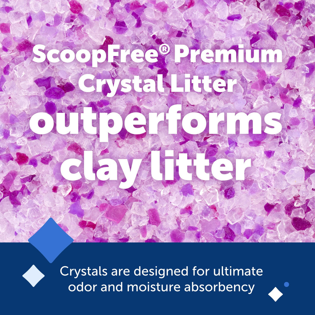 Buy now PetSafe ScoopFree Premium Natural Cat Litter - Eco-Friendly Long-Lasting Litter - High Absorbency & Low-Tracking Design - Non-Clumping Pebbles - 4.2 lb Bag - 2 Pack at indiglob india