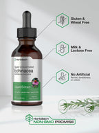 Horbaach Echinacea Drops Herb Tincture | 2 fl oz