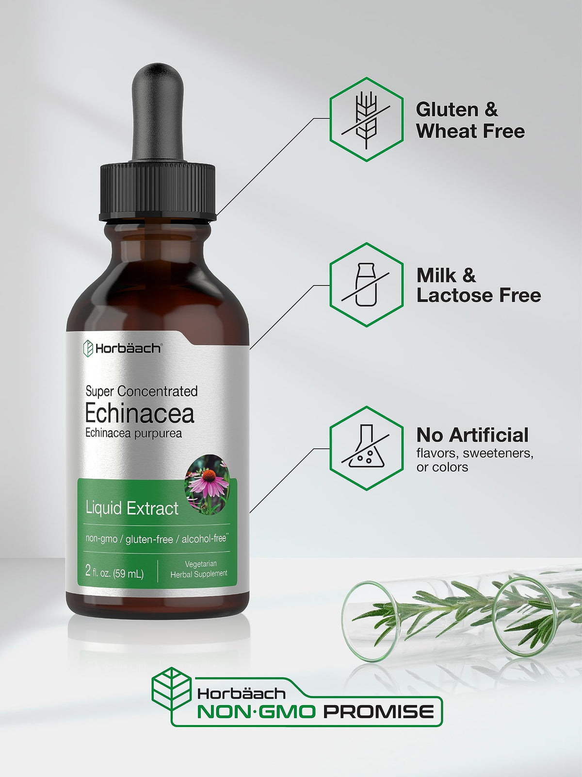 Horbaach Echinacea Drops Herb Tincture | 2 fl oz