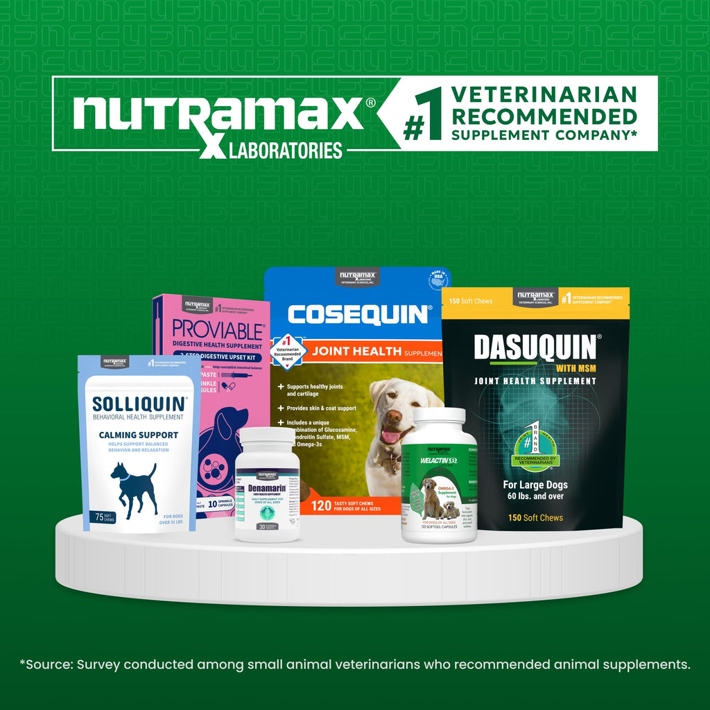 Nutramax Cobalequin B12 for Dogs and Cats, Oral Cobalamin Supplement with Folate, Vitamin B12 for Dogs Under 22 lbs. and Cats, Supports GI Health, Chewable Tablets, 45 Count (Pack of 2)